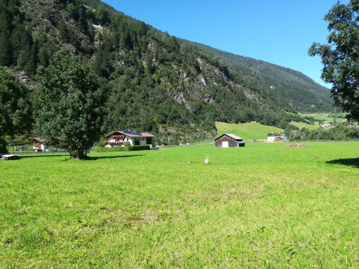 Apartamento Schlatterhof Neustift im Stubaital Exterior foto